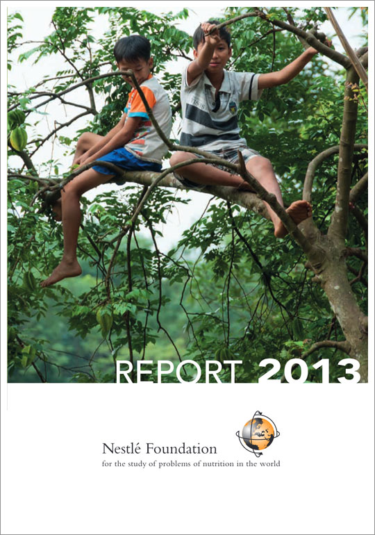Report 2013